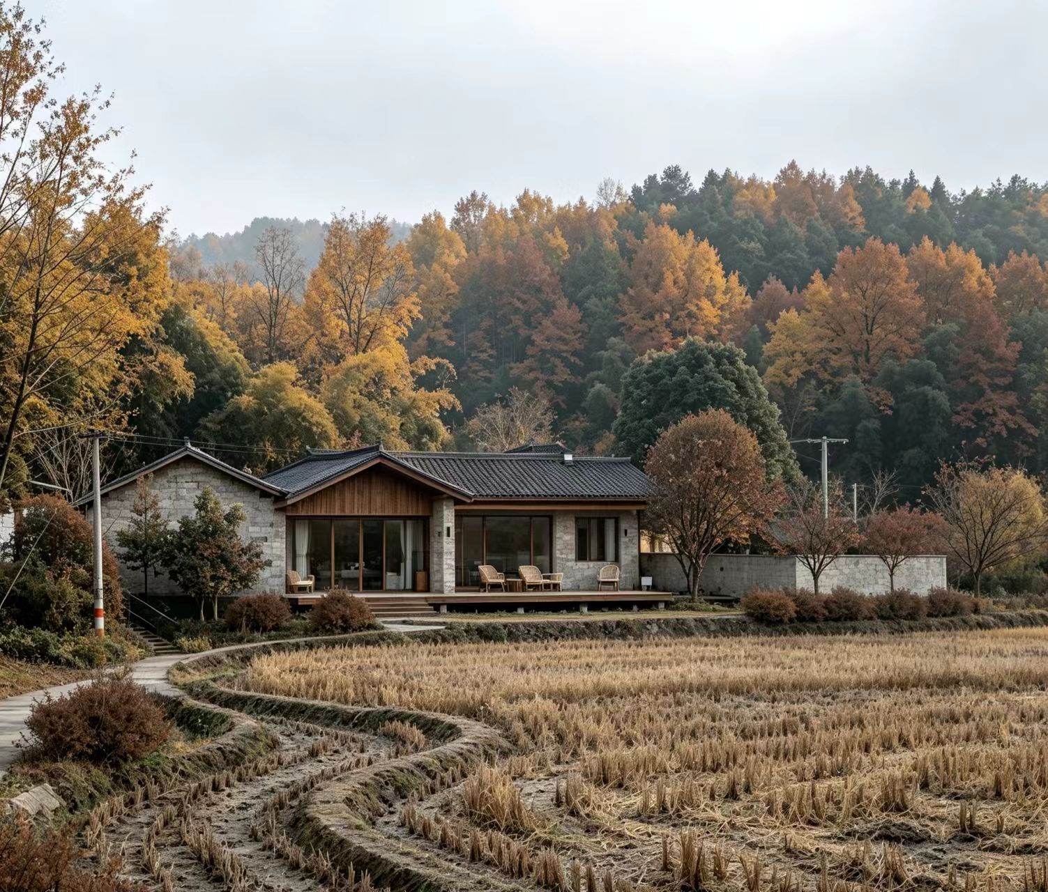 一个成都村庄的“沉睡资产”:当基础配套完成之后,经营从哪里开始